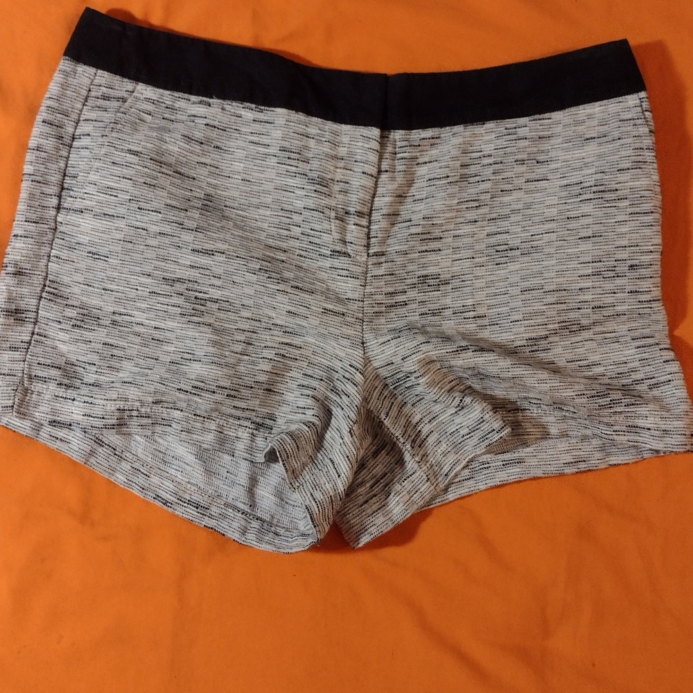 Anne Taylor Loft Black Waistband Women's Knitted Dress Shorts Size 10
